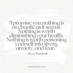 a quote from steve marboi that says,'i promise you nothing is as chaotic