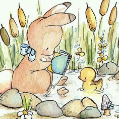 an illustration of a baby bunny playing with ducks in the water and holding a book