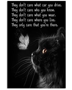 a black cat with a white butterfly on it's back and the words they don't care what car you drive