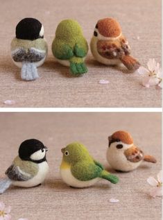 four small birds sitting on top of each other next to flowers and petals in different stages of development