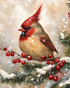 a painting of a bird sitting on a branch with berries and pine cones in the snow