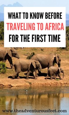 a herd of elephants walking across a dirt field next to a body of water with the words what to know before traveling to africa for the first time