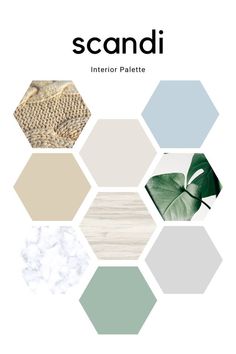 the cover of scandi's interior palette book, featuring hexagonals and leaves