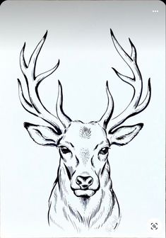 a black and white drawing of a deer with antlers on it's head