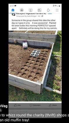 someone in the group shared this image with facebook to grow their own seedlings for free