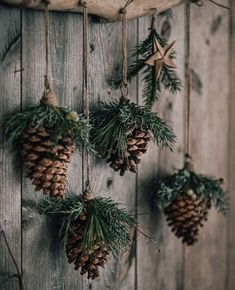 some pine cones hanging from a wooden wall