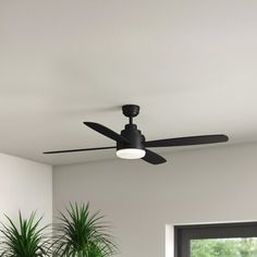 a living room with a ceiling fan and potted plant in the corner next to a window