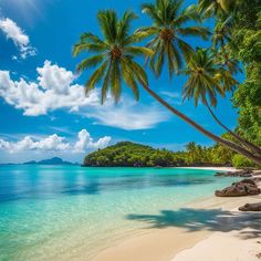 palm trees line the beach in front of blue water and white sand on an island