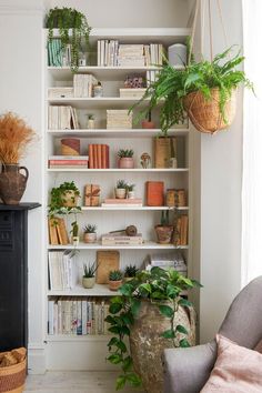 a living room filled with lots of plants and bookshelves next to a fire place