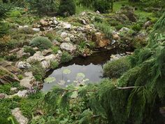 a small pond surrounded by rocks and plants