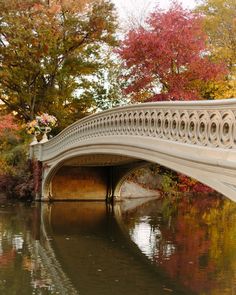 a white bridge over a body of water surrounded by trees with red and yellow leaves