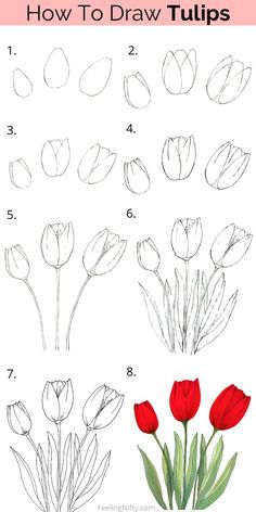 how to draw tulips step by step instructions for beginners and advanced artists