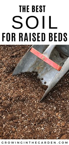 the best soil for raised beds with text overlay that reads, the best soil for raised beds