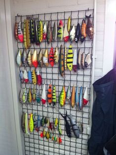 there are many different types of fishing lures hanging on the wall