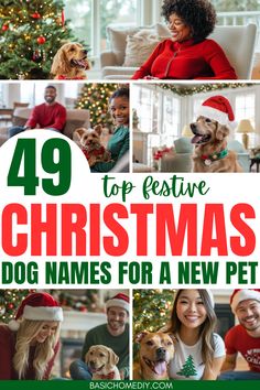 the top festive christmas dog names for a new pet is featured in this collage