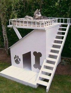 there is a dog house with stairs to the top and paw prints on the bottom