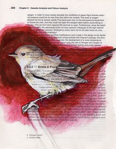 a drawing of a bird sitting on top of a piece of paper with words written in it