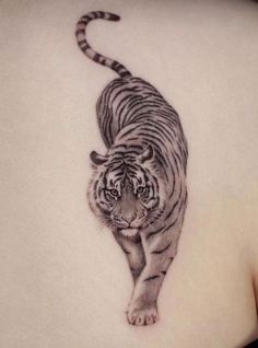 a tiger tattoo on the back of a woman's stomach is shown in black and white