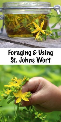 a jar filled with yellow flowers sitting on top of a wooden table next to green plants