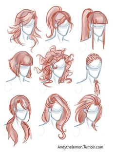 an image of different types of hair for the head and shoulders, all drawn in red pencil