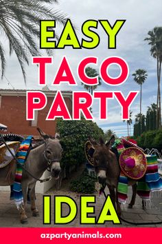 Beverage Beer burro party entertainment for kids adults teens families at Omni Scottsdale Spa and Resort in Paradise Valley Arizona for Cinco de Mayo Party Invitation Ideas