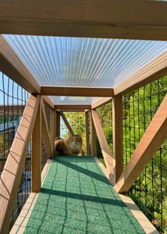 a cat is laying down on the green carpeted floor under a wooden structure with metal railings