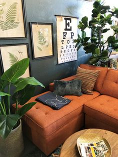 a living room with an orange sectional couch and potted plants on the side table