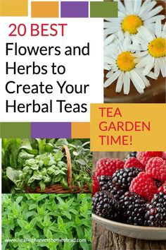 flowers and herbs to create your herb teas cover image with text that reads 20 best flowers and herbs to create your herb teas