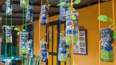 there are many glass bottles hanging from the ceiling with plants growing in them and attached to ropes