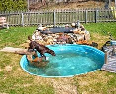 the dog is jumping into the pool in the yard to get some water from it