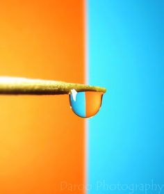 a drop of water sitting on top of a yellow and blue wall next to a green stick