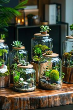 several glass jars filled with plants on top of a wooden table next to a planter