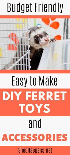 an ferret in a cage with the words easy to make diy ferret toys and accessories