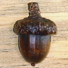 an acorn hanging on the side of a wooden wall