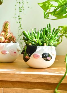 two ceramic pots with plants in them on a table