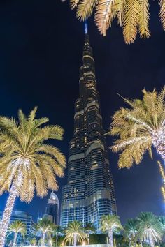 the burj tower is lit up at night with palm trees in front of it