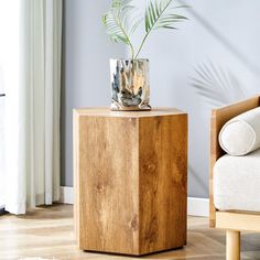 a potted plant sitting on top of a wooden table next to a couch in a living room