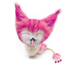 a pink and white cat with its mouth open next to a tiny toy pom pom