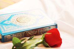 a red rose sitting on top of a book next to it's opened cover