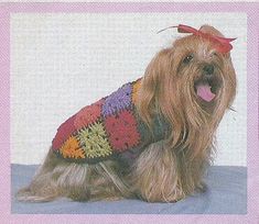 a small dog wearing a sweater with flowers on it's chest and tongue sticking out