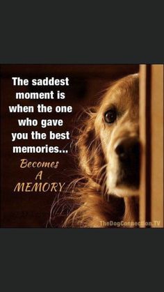 the saddest moment is when the one who gave you the best memories become a memory