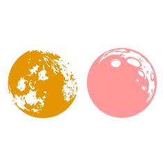 two oranges and a pink one on a white background with space in the middle