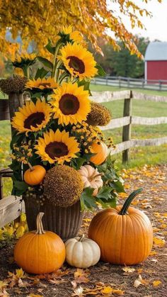 pumpkins and sunflowers are arranged on the ground