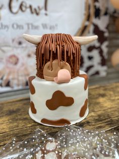 A picture of a two tier cake. The bottom tier is a white cake with brown cow spots and the top tier is a cake with horns, a cow face, and long strands of hair (made of fondant) that looks like a highland cow. Cow Cake First Birthday, Cow Food Ideas, Hiland Cow Birthday Cake, Highland Cow Cake Smash, Cow Cakes Birthday, Cow Cakes For Boys, Highlander Cow Birthday Party, Highland Cow Cupcake Cake, Boho Cow Cake