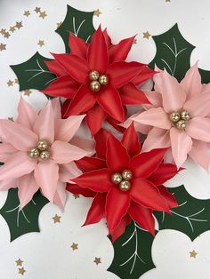 three poinsettis with green leaves and red flowers