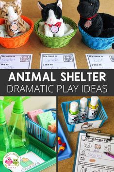 animal shelter dramatic play ideas for kids