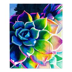 a painting of a colorful succulent flower