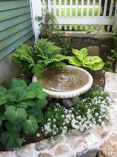 a garden with plants and a bird bath