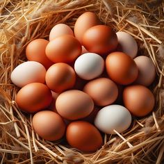 an image of eggs in the nest on straw