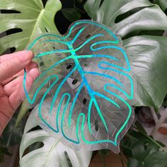 a person holding up a green and blue sticker next to a plant with large leaves